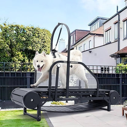 dog treadmill