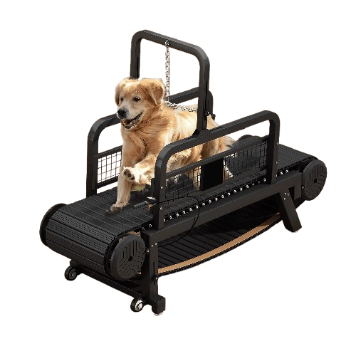Best dog treadmill