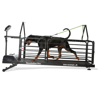 Dog Treadmill for Large Dogs
