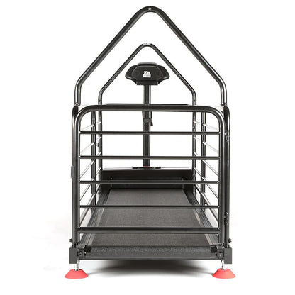 Dog Treadmill for Large Dogs