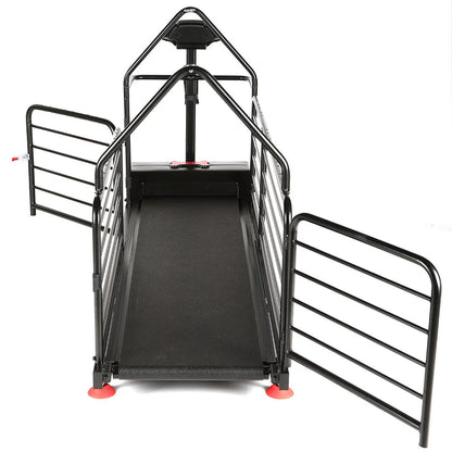 Dog Treadmill for Large Dogs